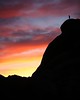 Joshua Tree Camping : 